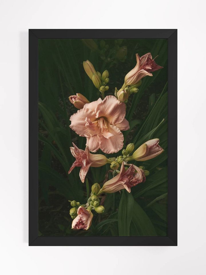 Cascade of Blush product image (1)
