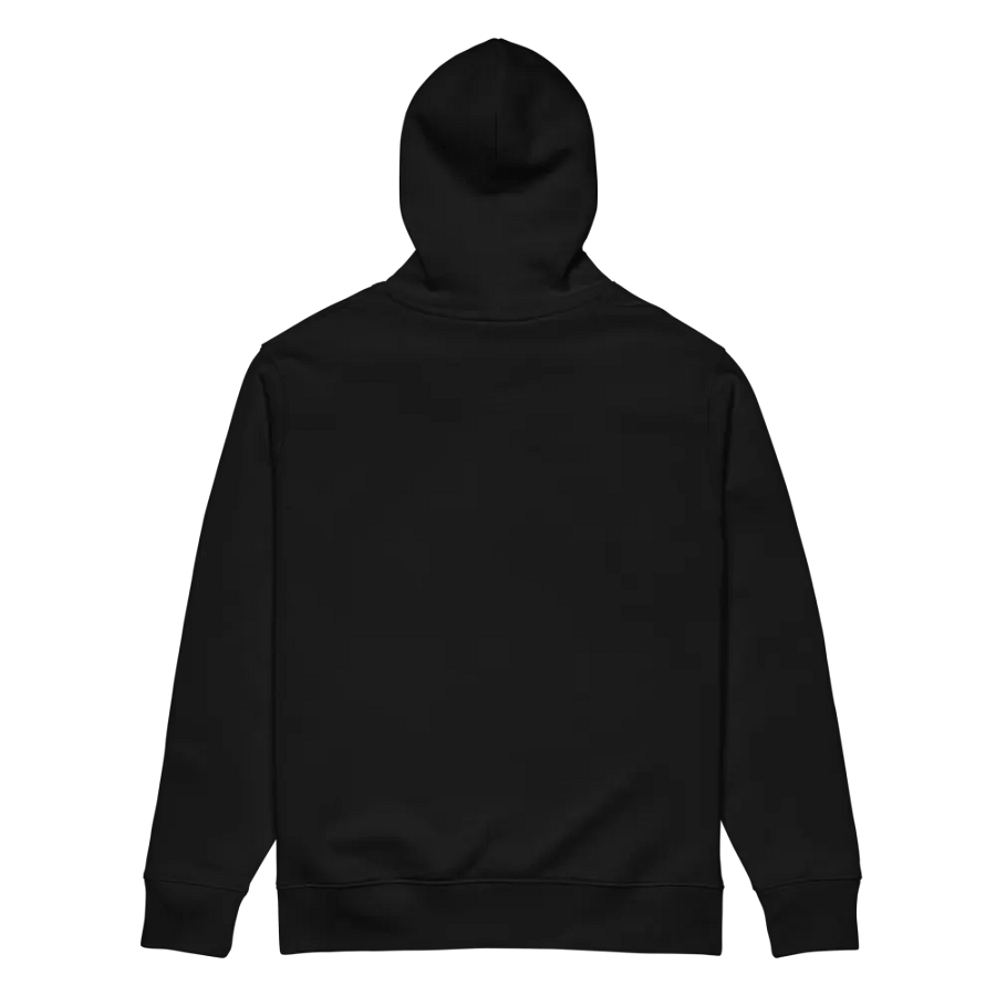 Kid Airplane (Stanley/Stella Unisex Organic Hoodie) product image (11)