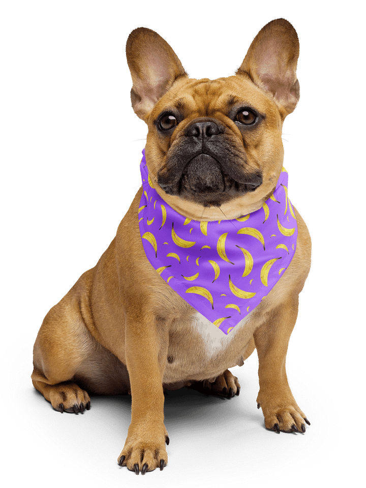 Bananapalooza bandana product image (1)
