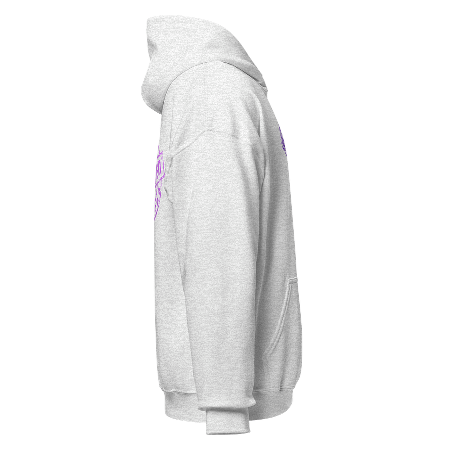 MULTI COLOR HOODIE ''STAMPED'' LOGO product image (64)