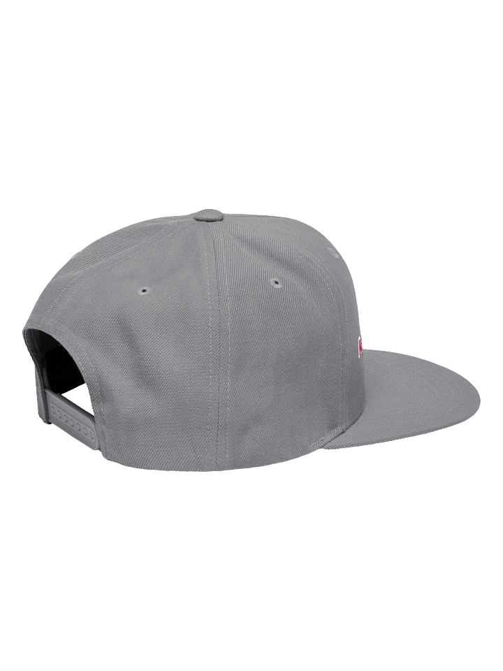 Logo Snapback Hat product image (9)