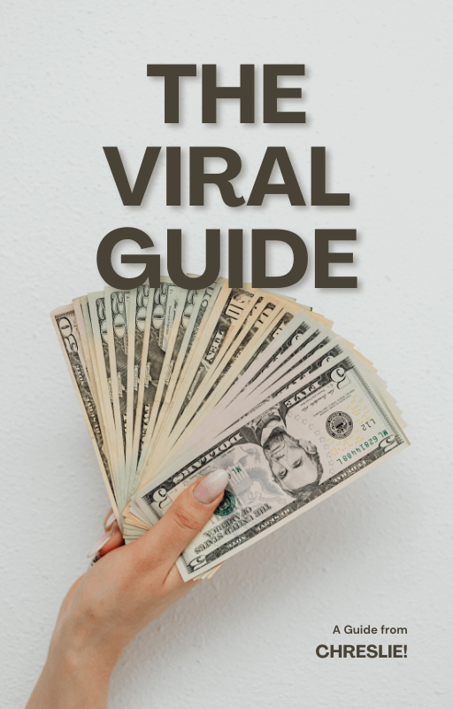 THE VIRAL GUIDE: Guidelines for Media Virality! product image (1)