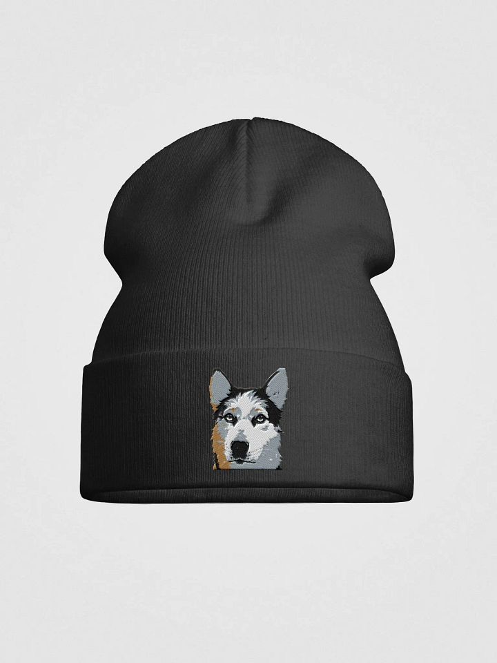 Luna Embroidered Otto Beanie product image (1)
