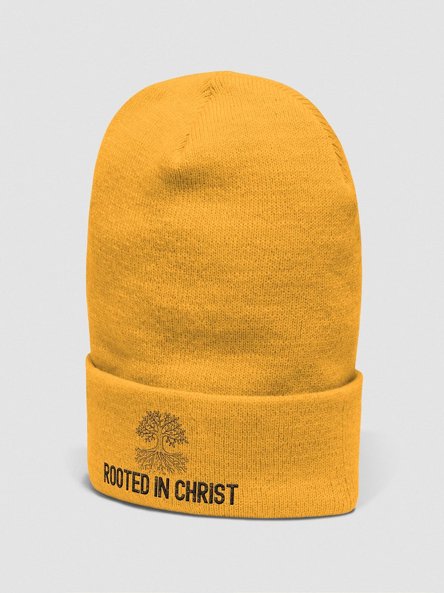 Rooted In Christ Cuffed Beanie product image (6)