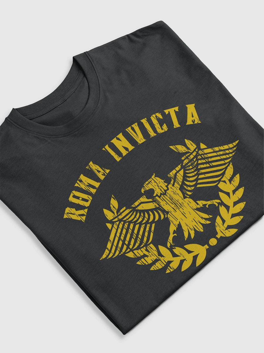 Rome Reborn v2 Heavy Tee product image (9)