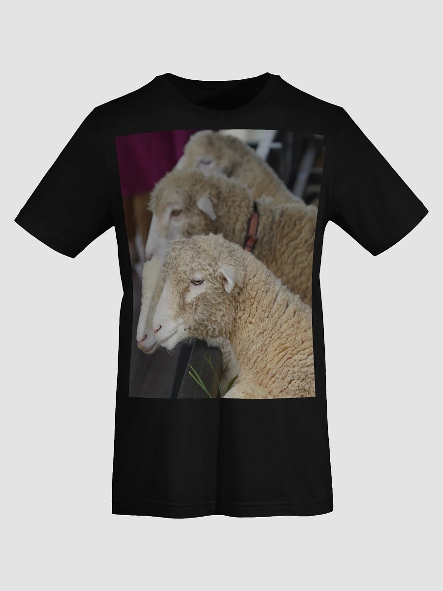 Curly Comfort Sheep T-Shirt product image (7)