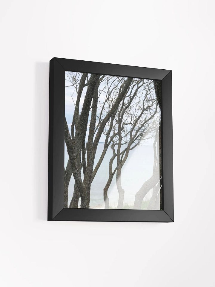 Winding Branches High Quality Matte Poster product image (2)