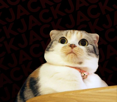 Audio thumbnail