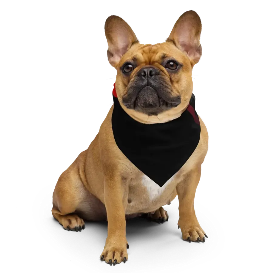 WS Bandana With Pattern product image (6)