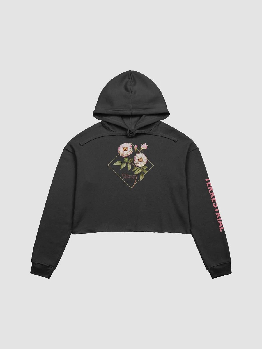 LIMITED EDITION - Grow Positivity Crop Hoodie product image (2)