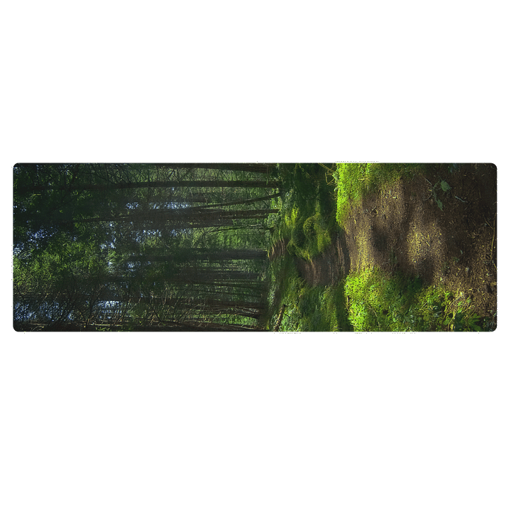 Lower Dungeness Trail Timber sun lighting Yoga product image (1)
