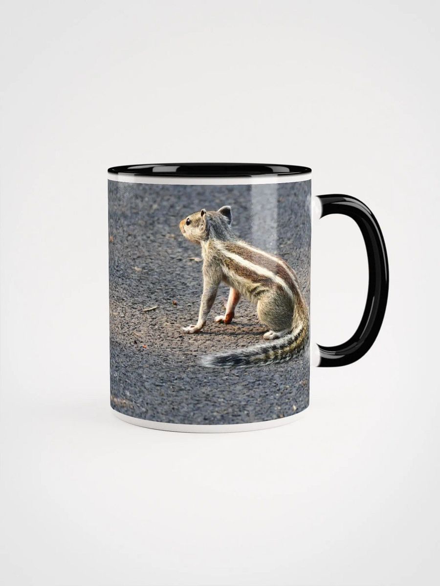 IUCAA Birds MUG product image (1)