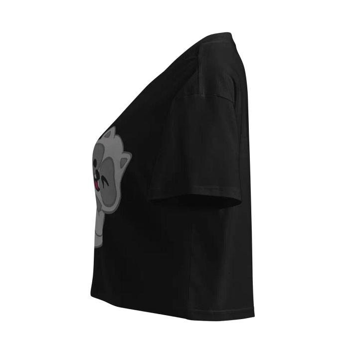 foreheadkisses4thehomies raccoon crop top product image (2)