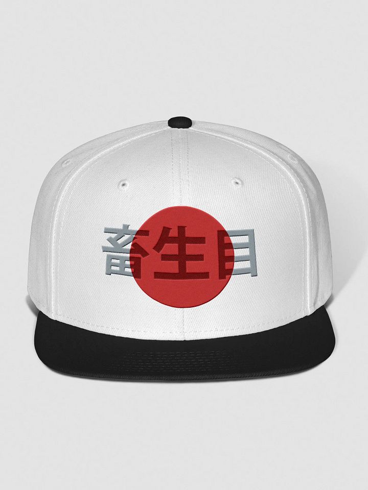 Japan product image (2)