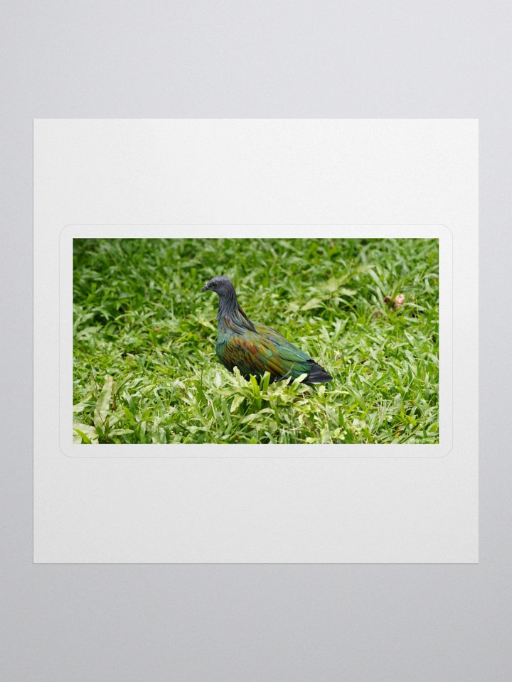 Iridescent Nicobar Pigeon Kiss Cut Stickers product image (1)