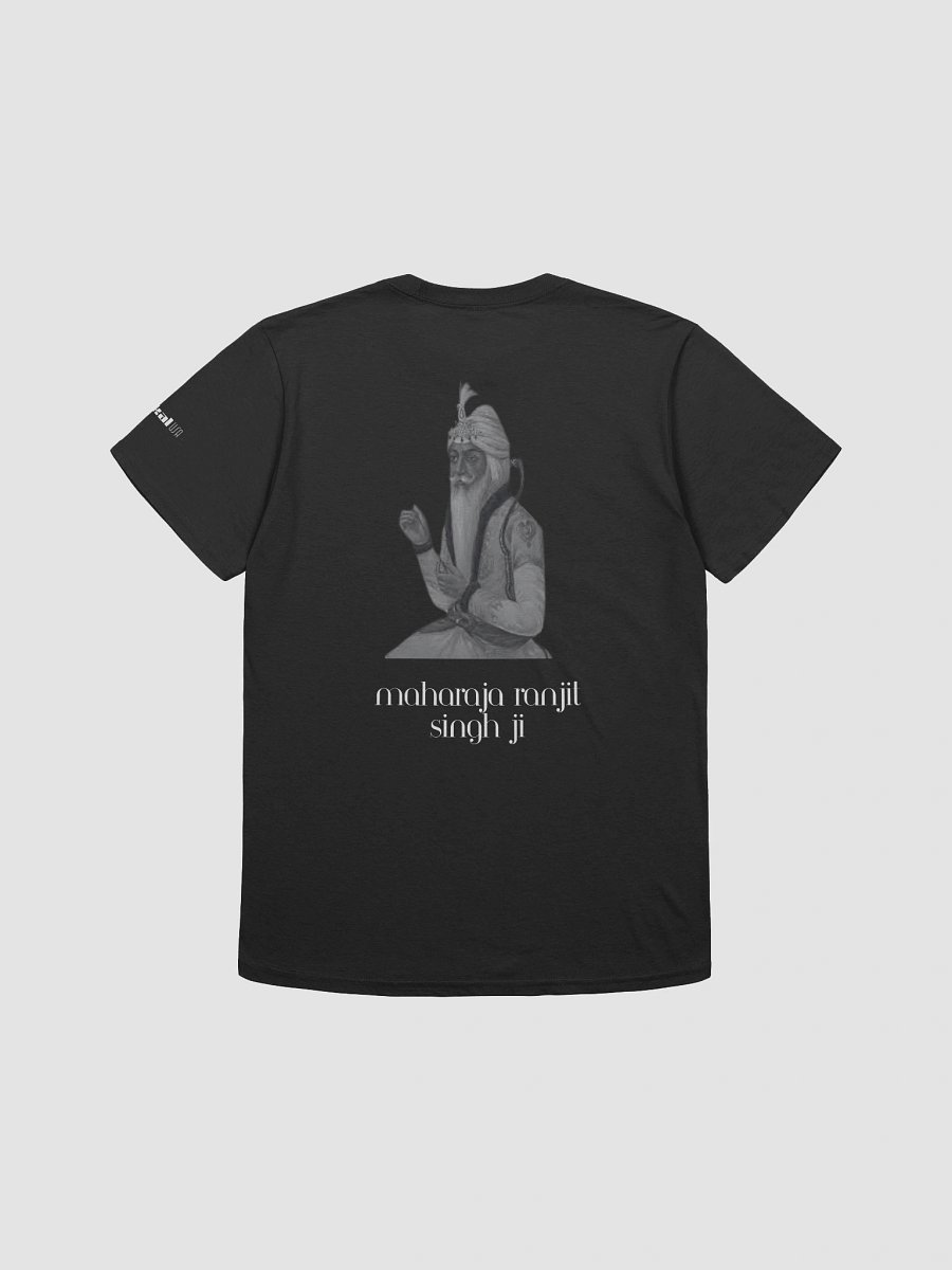 Sikh Warriors: A Akal Crew Collection - Maharaja Ranjit Singh Ji product image (2)