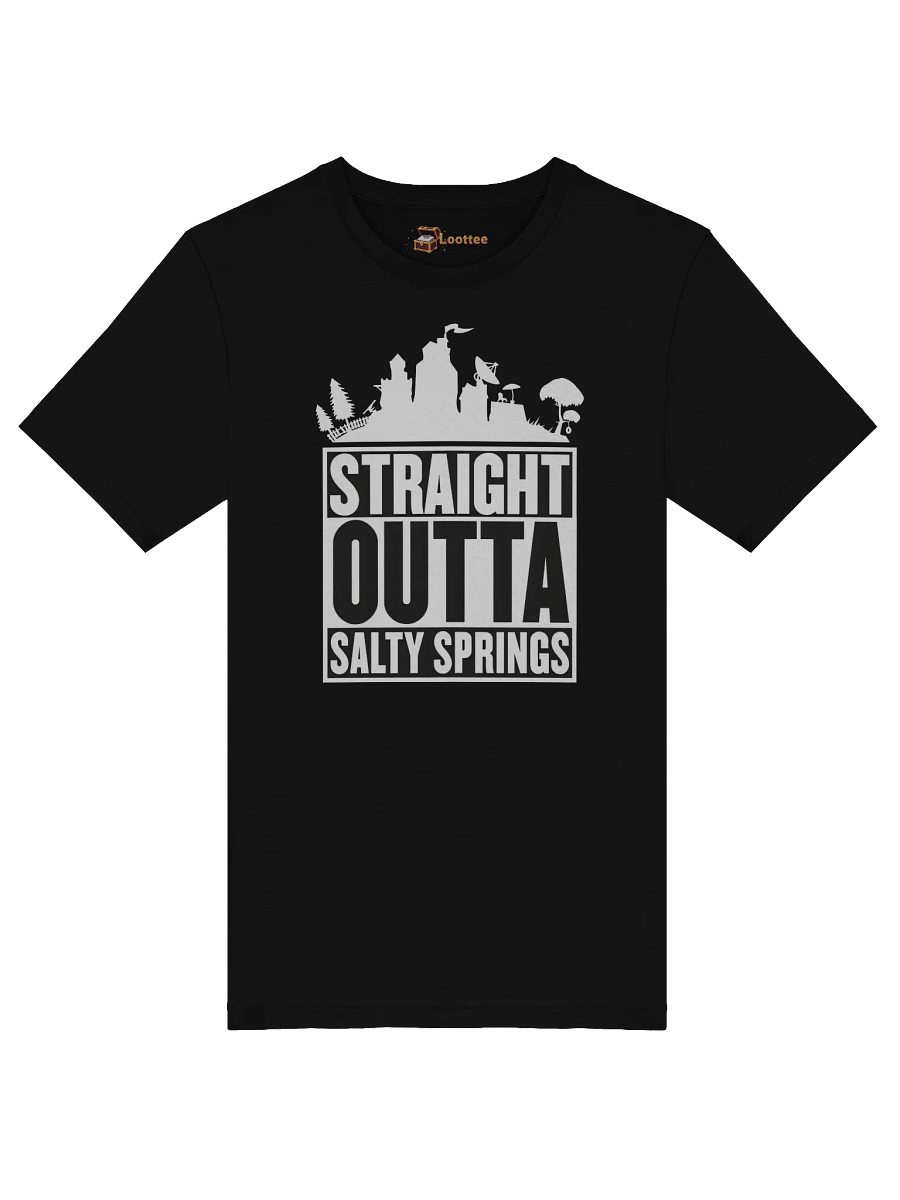 Salty Springs product image (1)