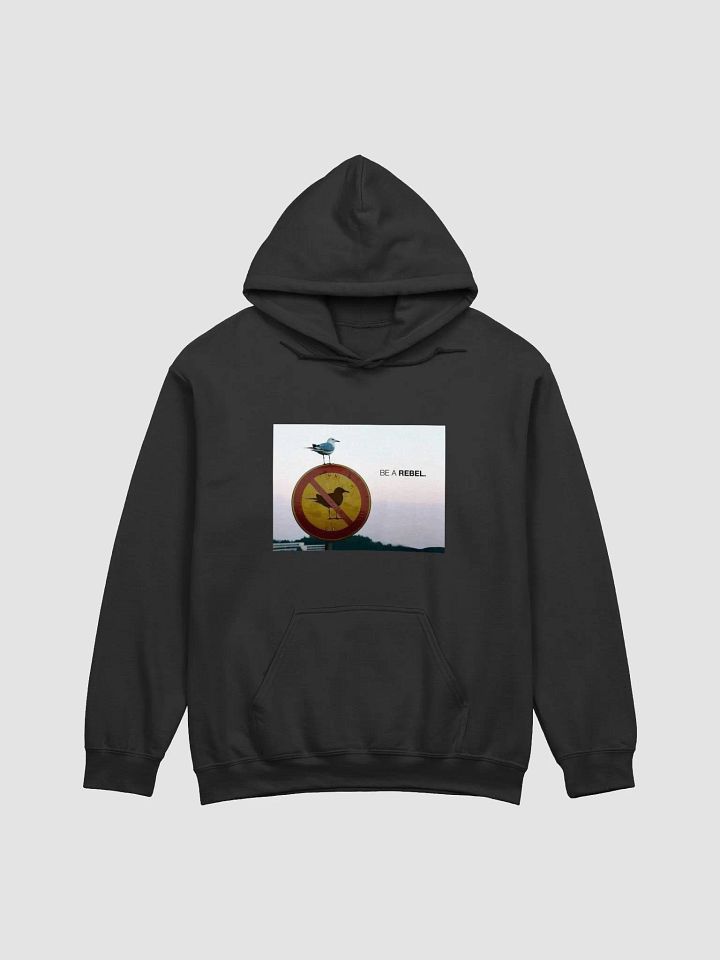 Rebel Bird No-Entry Hoodie product image (10)