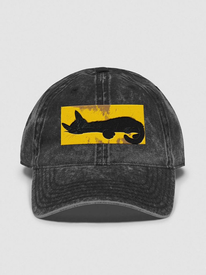 Sweet Sleeping Black Cat product image (1)