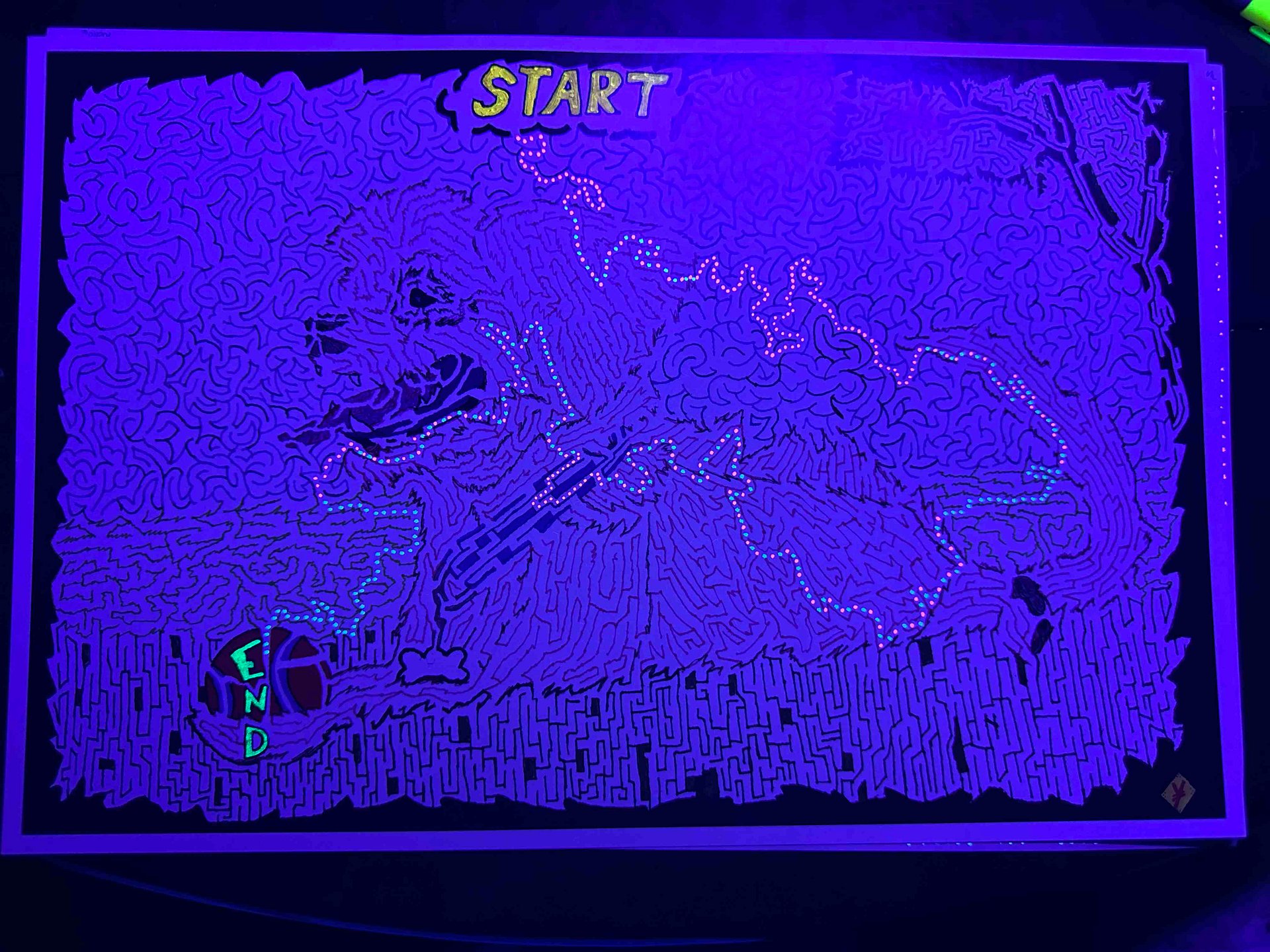 Dog Maze of Summer - Black Light Answer Key -Only- Version product image (2)