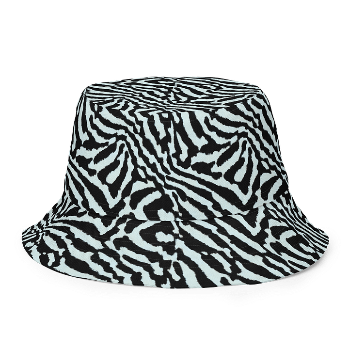 Blue Zebra Hat product image (2)