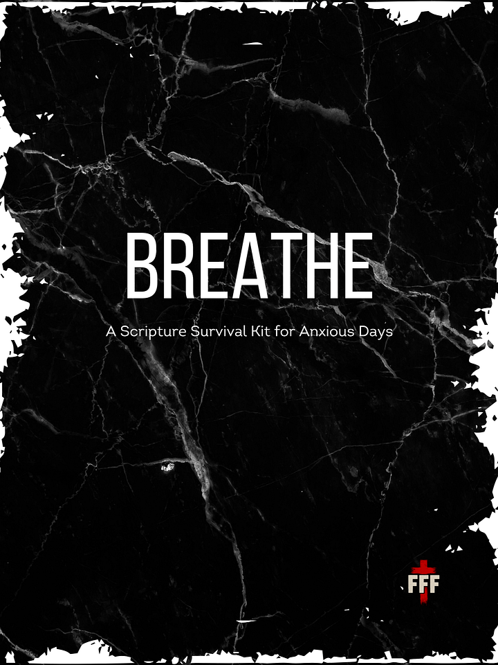 BREATHE: A Scripture Survival Kit for Anxious Days product image (1)