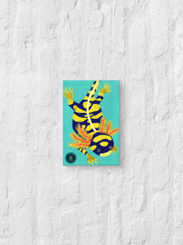 Gone Fission July Banded Axolotl product image (2)