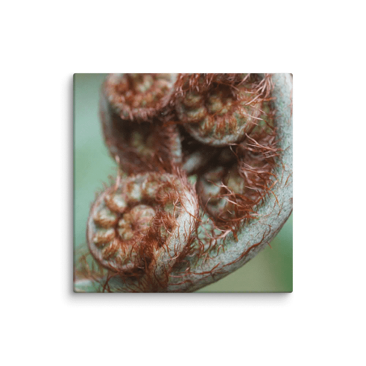 This Plant Canvas product image (1)