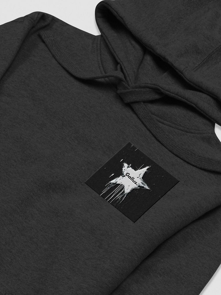 Gallus Hoodies product image (3)