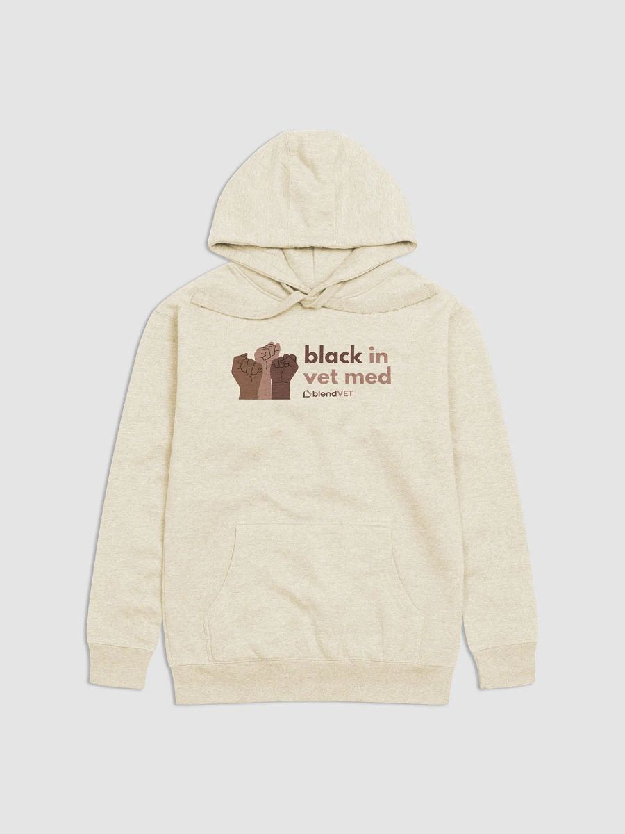 Black in Vet Med Hoodie product image (3)