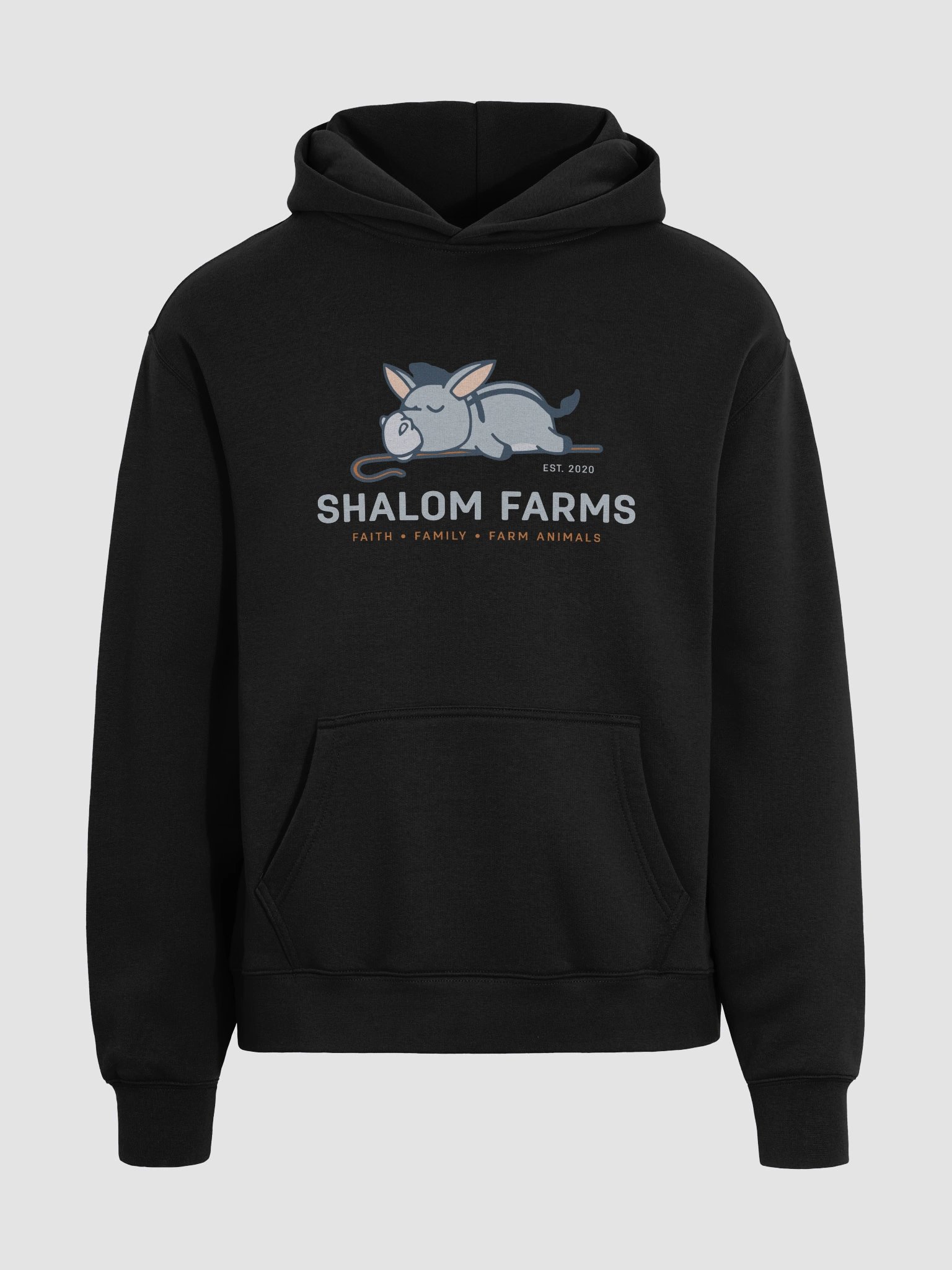 AS Color Premium Oversize Hoodie Full Logo product image (3)