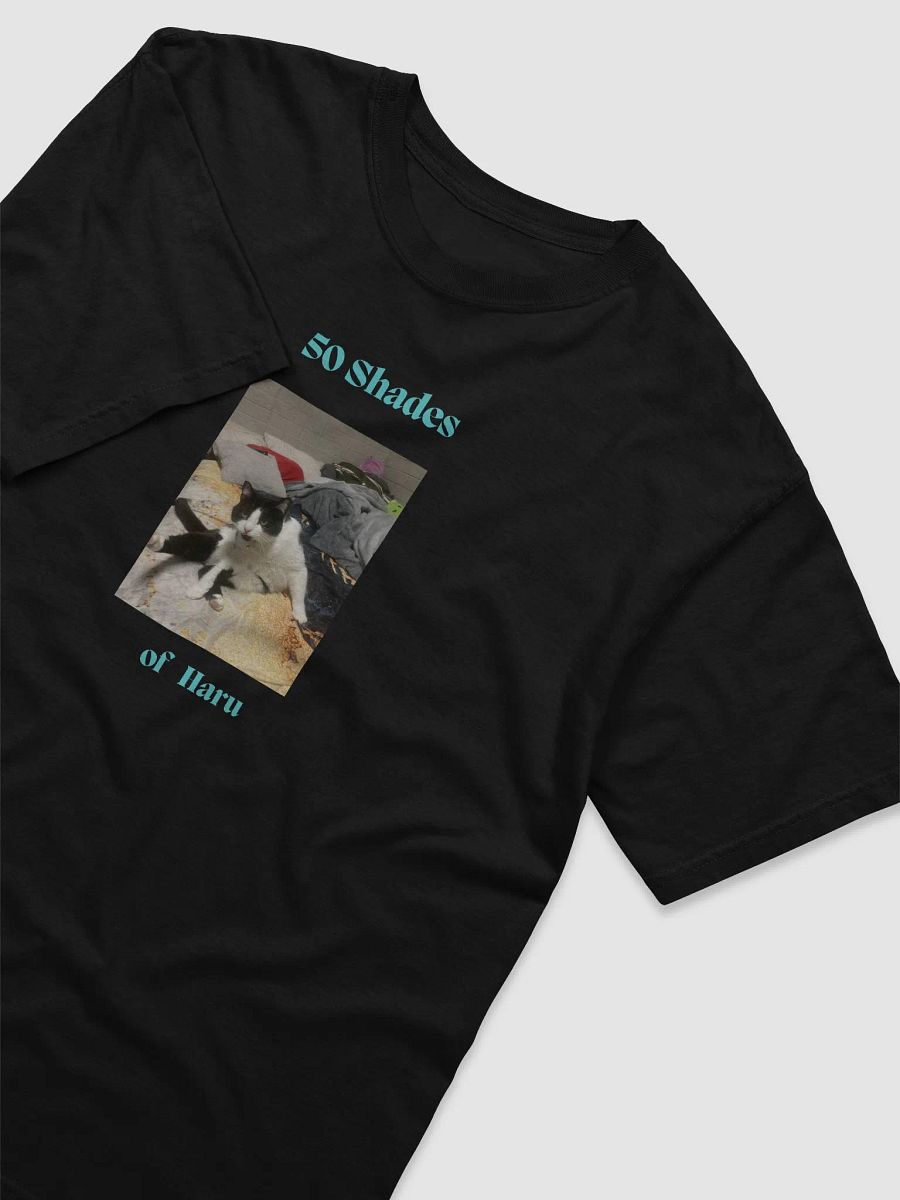 50 Shades of Haru Comfort Tee product image (3)
