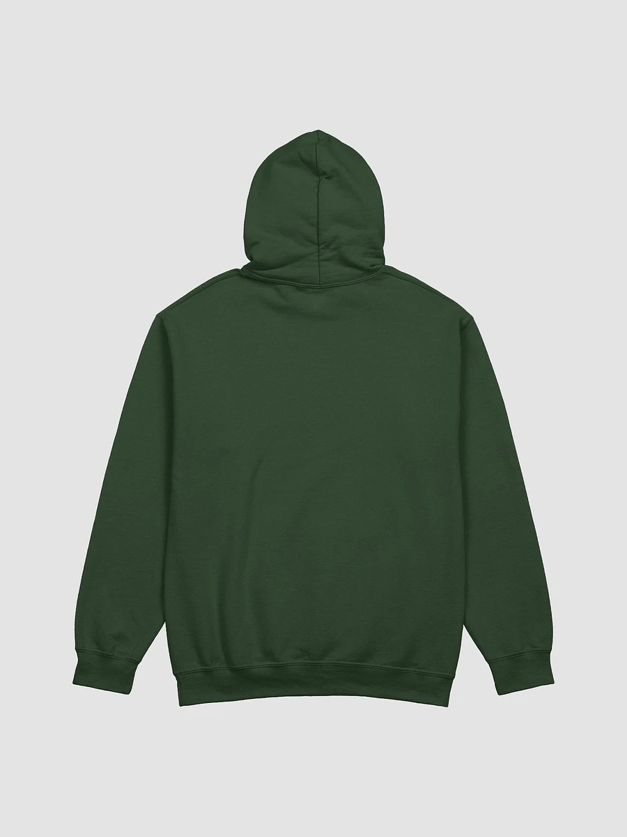 St. Paddys Day Leprechauns Hoodie (5 Colors) product image (8)