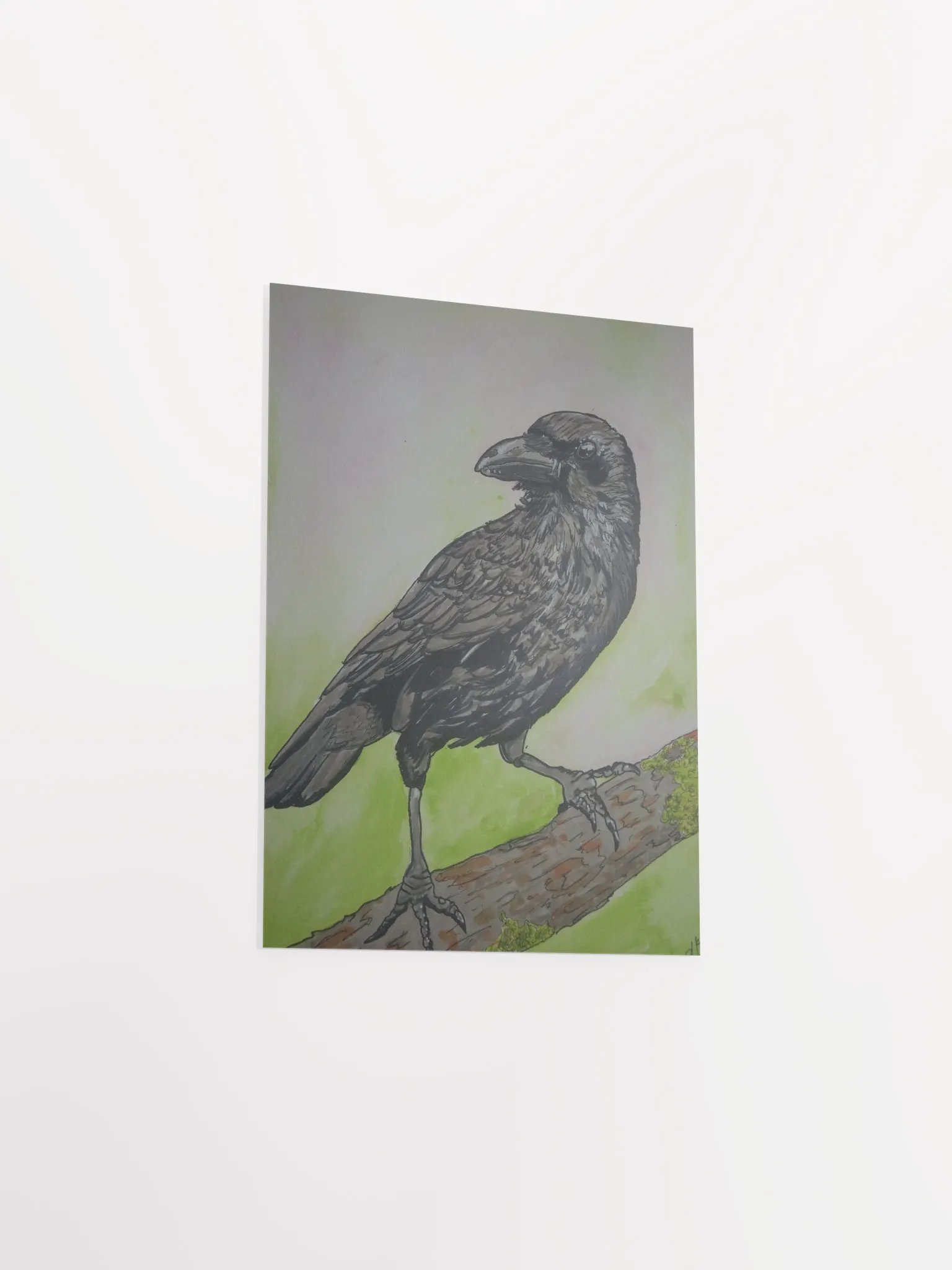Corvid Series [00] Carrion crow poster print product image (3)
