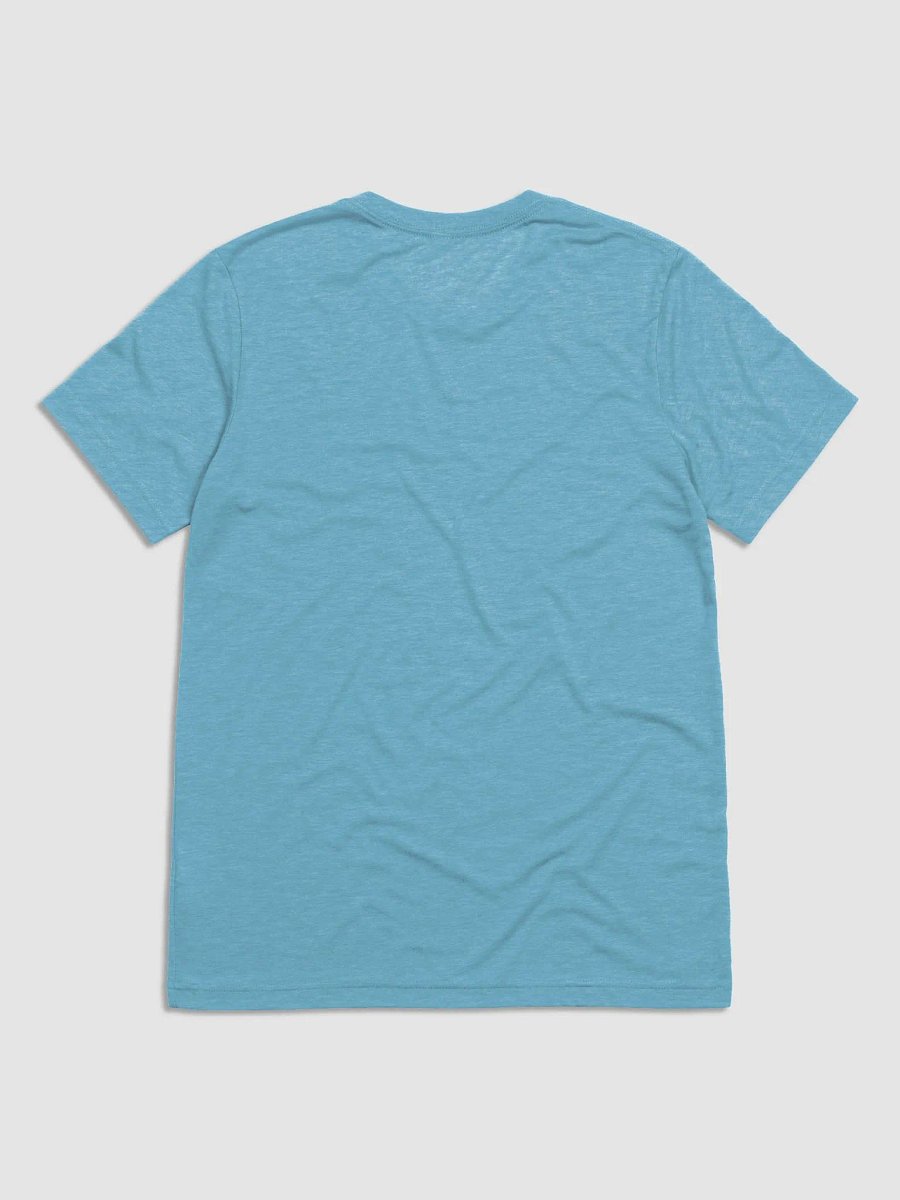 SGN-LOGO Triblend T-Shirt product image (20)