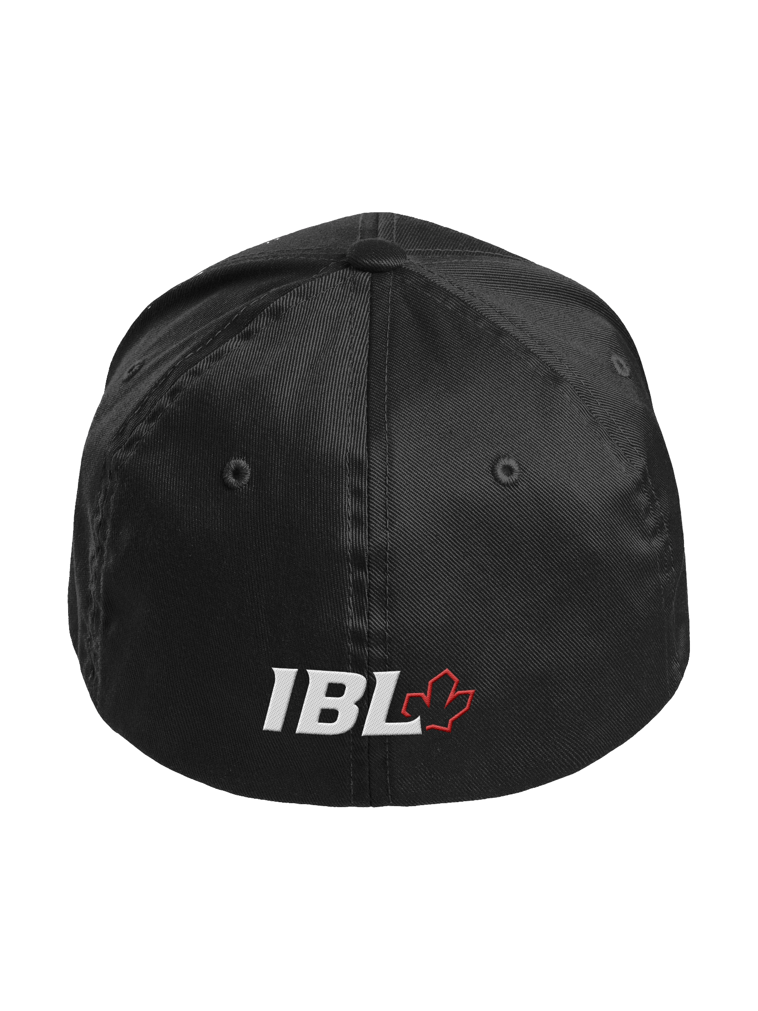 Ottawa Fat Cats - Eclipse Eye Dad Hat Flexfit Cap product image (11)