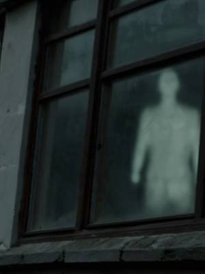 What would you do if you had seen a ghost like this? #ghosts #paranormalactivity #paranormal #spooky #weirdtok 