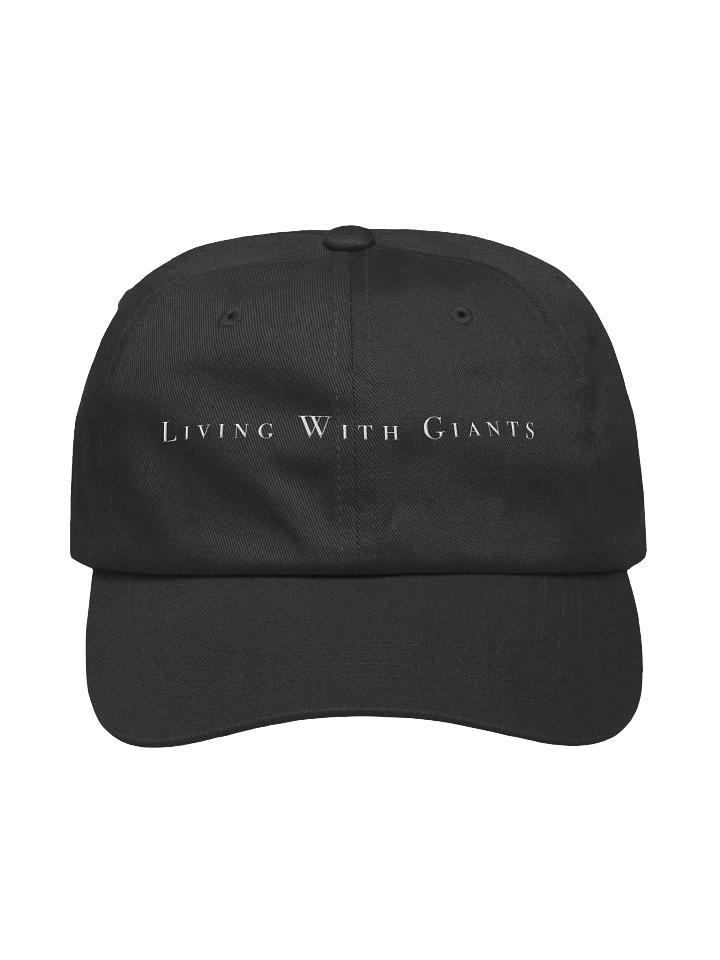 Classic Comfort Dad Hat product image (1)