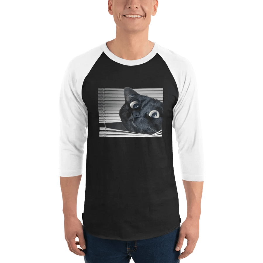 Memori Raglan Tee product image (1)