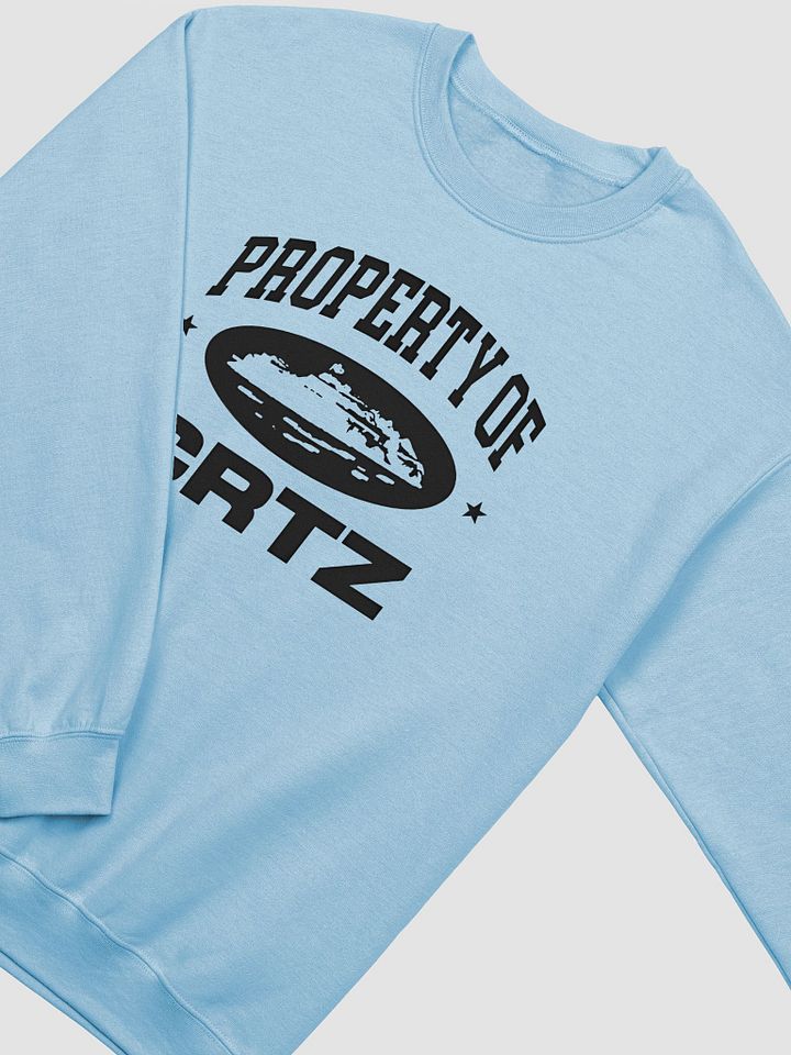 Corteiz P.O.C Sweatshir product image (2)