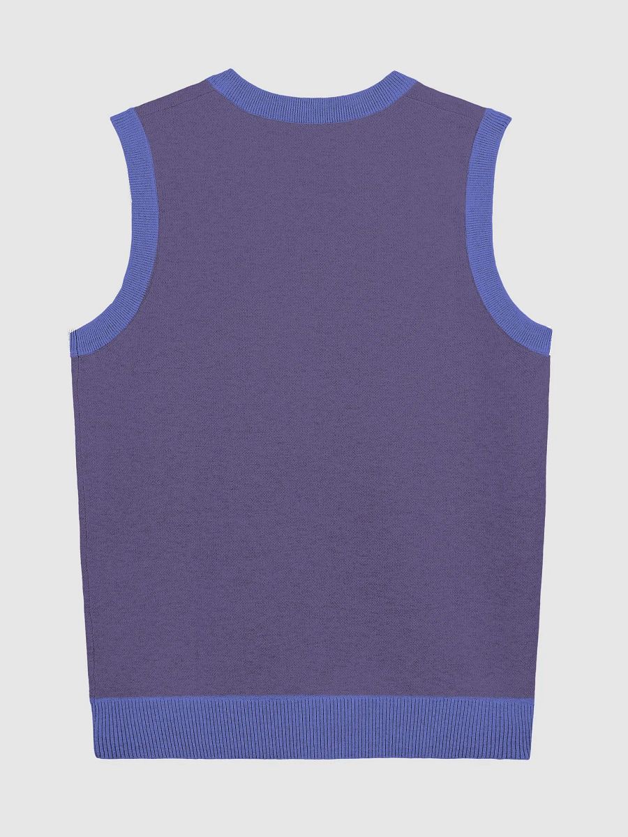 Bubbly and a B*tch (lg. design, violet and royal) knitwear vest product image (6)