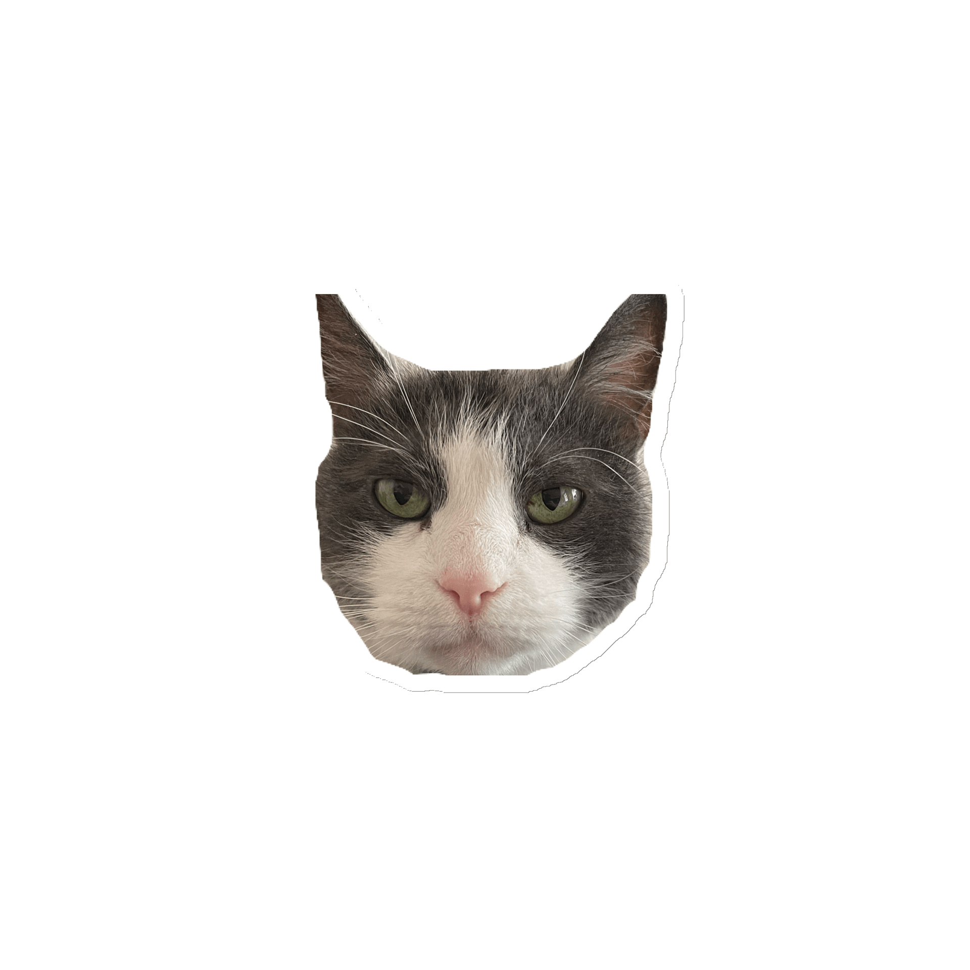 Lou Grumpy Face Magnet product image (1)