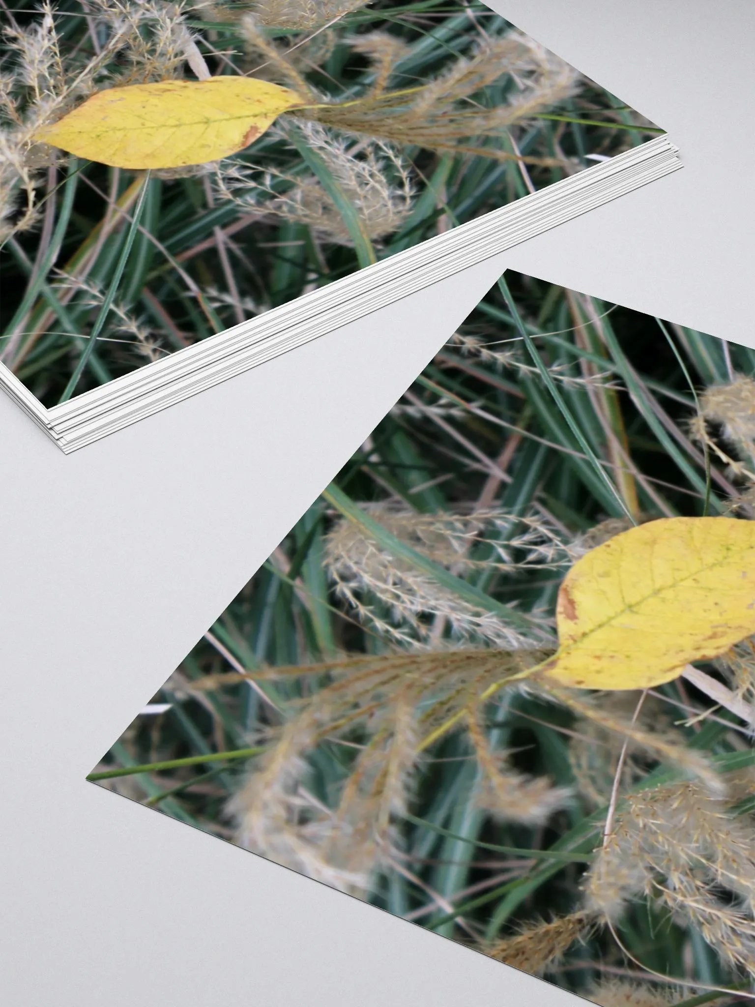 A Study in Flowers 11 - sticker version product image (13)