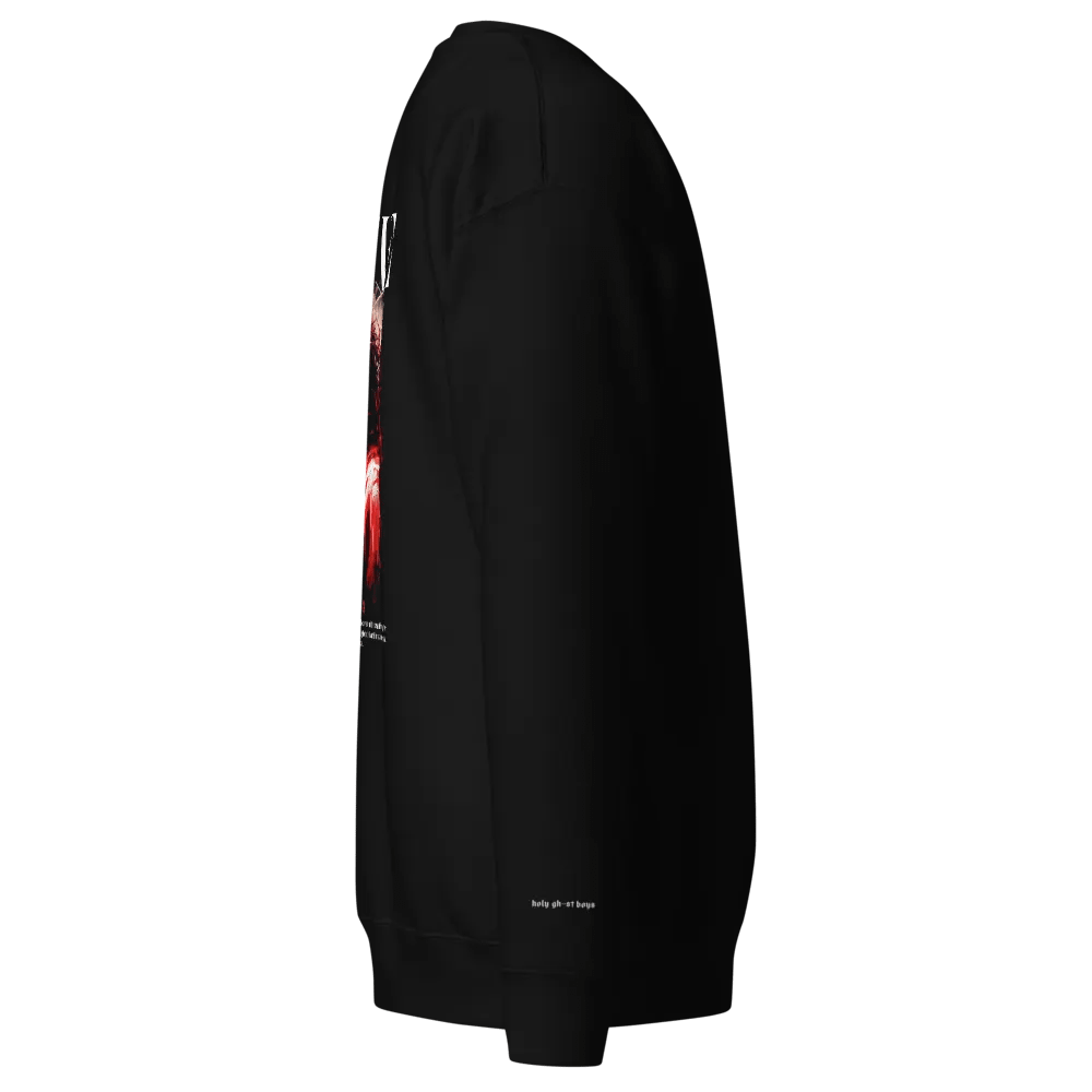 Believe Jesus Embroidered Sweatshirt product image (3)