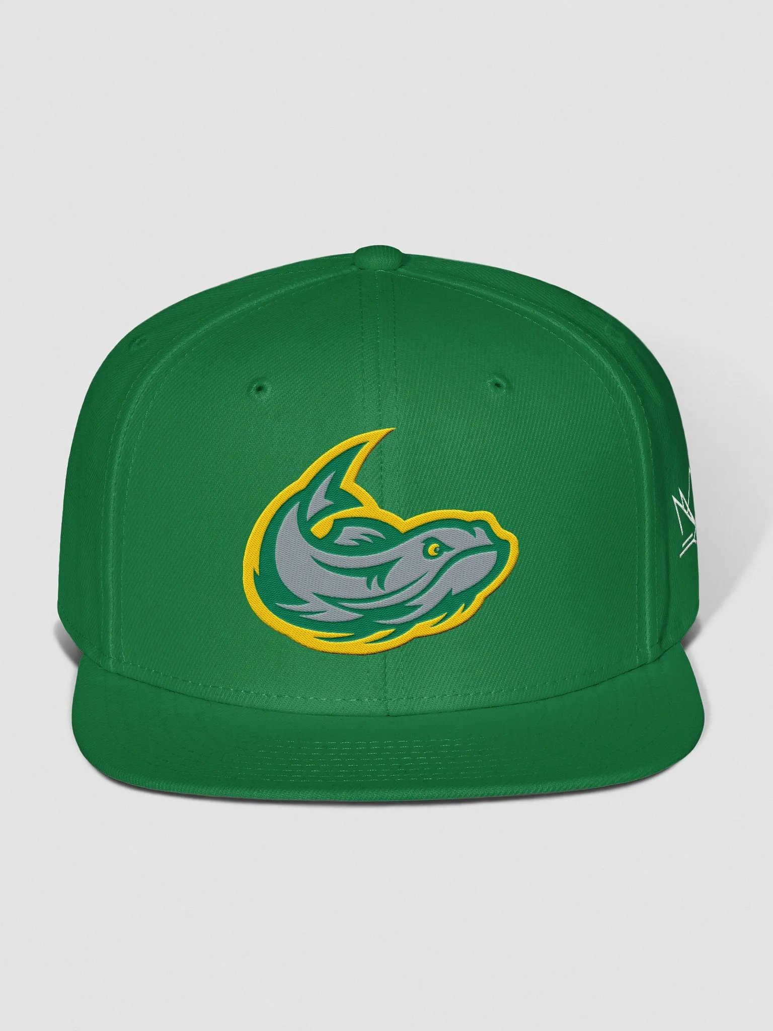 Mississippi Mudcats Gridiron Clothing Snapback Hat product image (1)