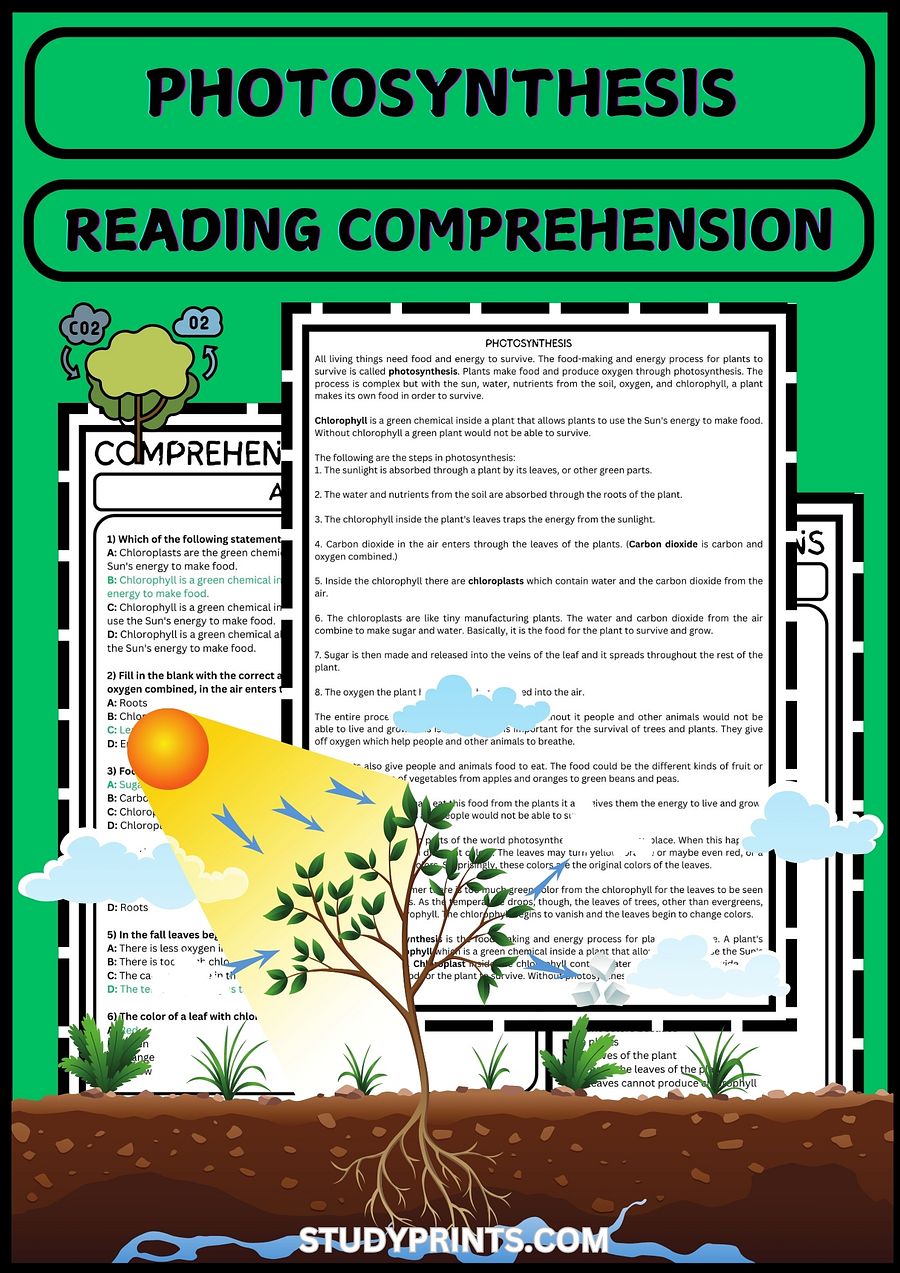 reading passages on photosynthesis worksheets with questions product image (1)