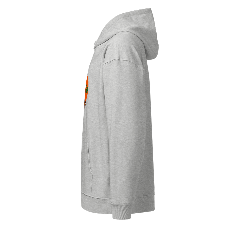 Organic Tree Canopy Hoodie product image (6)