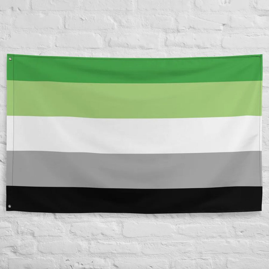 Aromantic Flag product image (10)