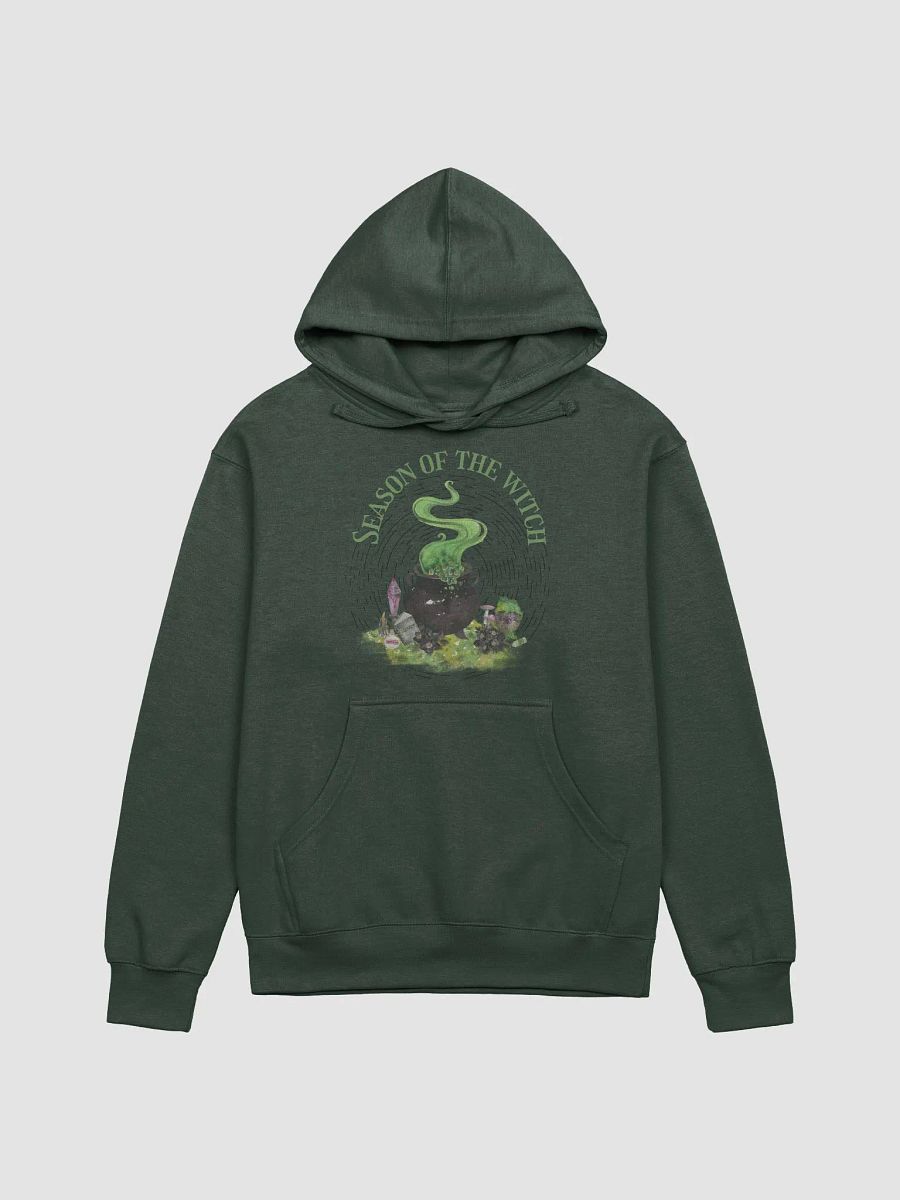 Season of the Witch Adult Hoodie product image (1)