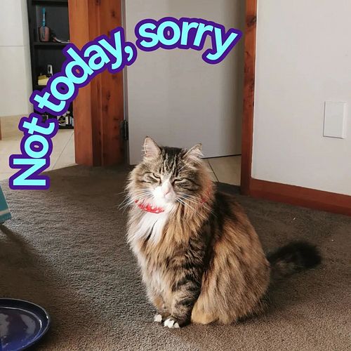 No stream today due to family commitments. 
Take care of yourselves! 
Looking forward to seeing you next time!